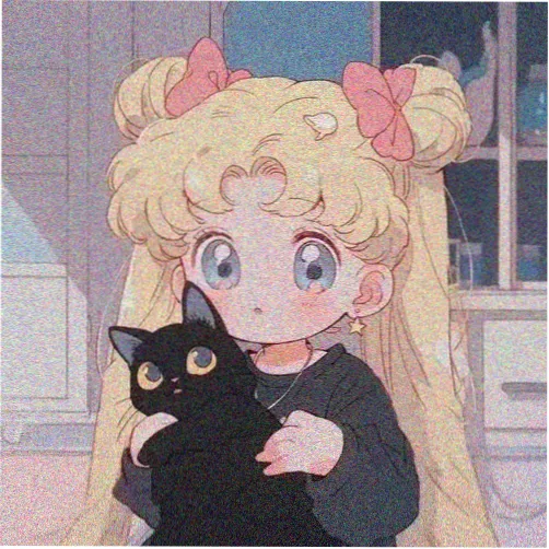 碟友头像