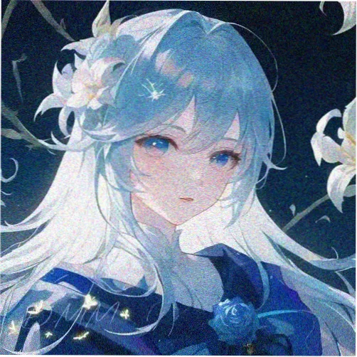 碟友头像